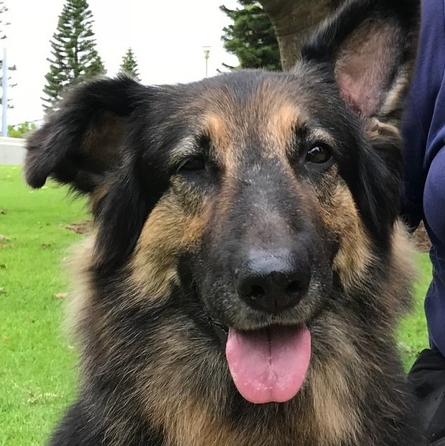 'Tikka'