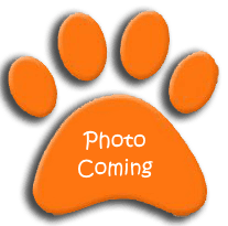 <Firstname> <Lastname>