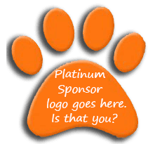 platinum sponsor icon