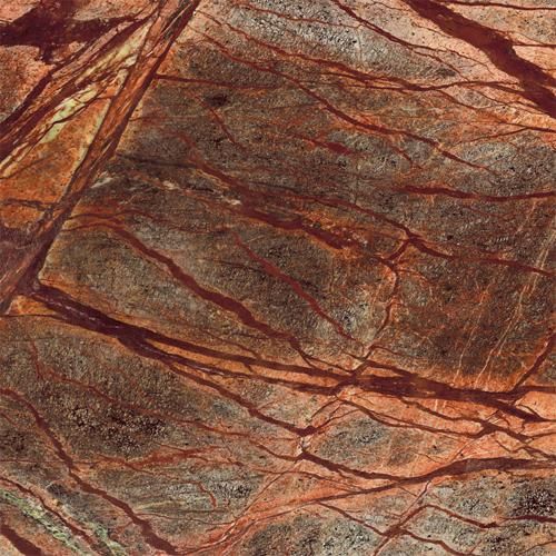 RAIN FOREST BROWN