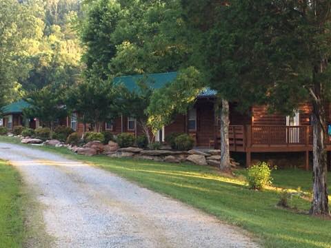 Log cabins among trees along a gravel drive