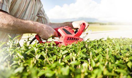 We offer hedge trimming solutions that suit your requirements