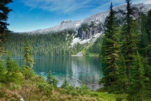 Fresh Snow Near Mowich Lake