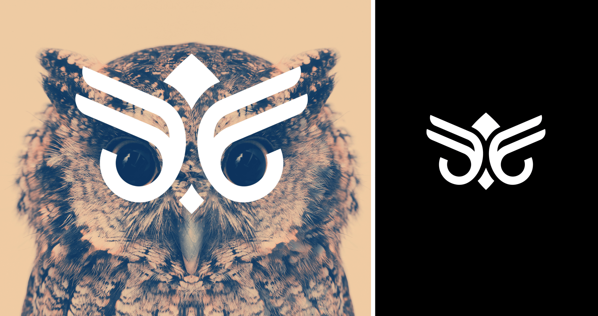 Antabi, Rangel, Sousa, & Goes A close up of an owl 's face next to a logo