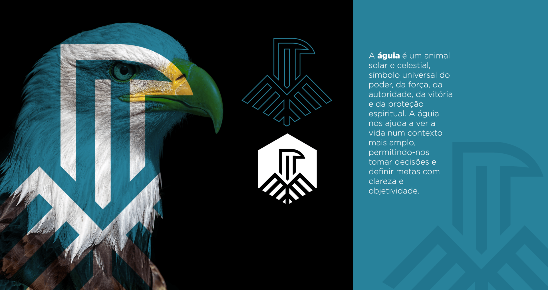 Carvalho & Neves Uma águia americana com um logotipo azul e branco na cabeça.