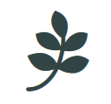 Lincoln Agency