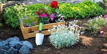 Gardening Service — Landscaping in Sunshine Coast, QLD