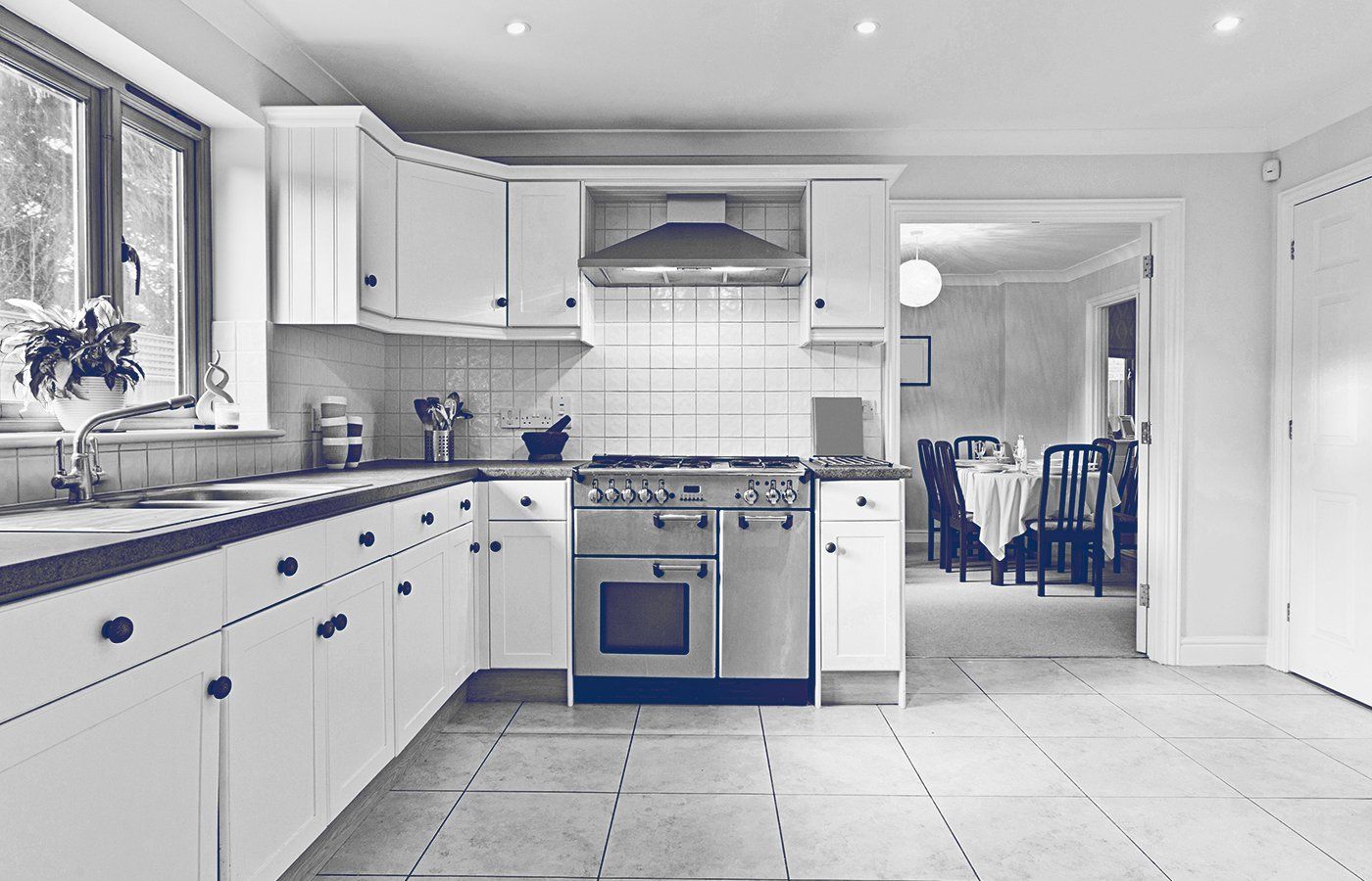 Kitchen repairs in Waikto