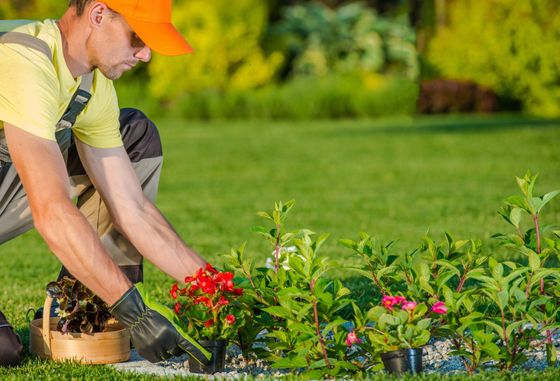 Commercial Landscaping — Man Holding a Grass Cutter in Albany, GA Commercial Landscaping — Man Holding a Grass Cutter in Albany, GA