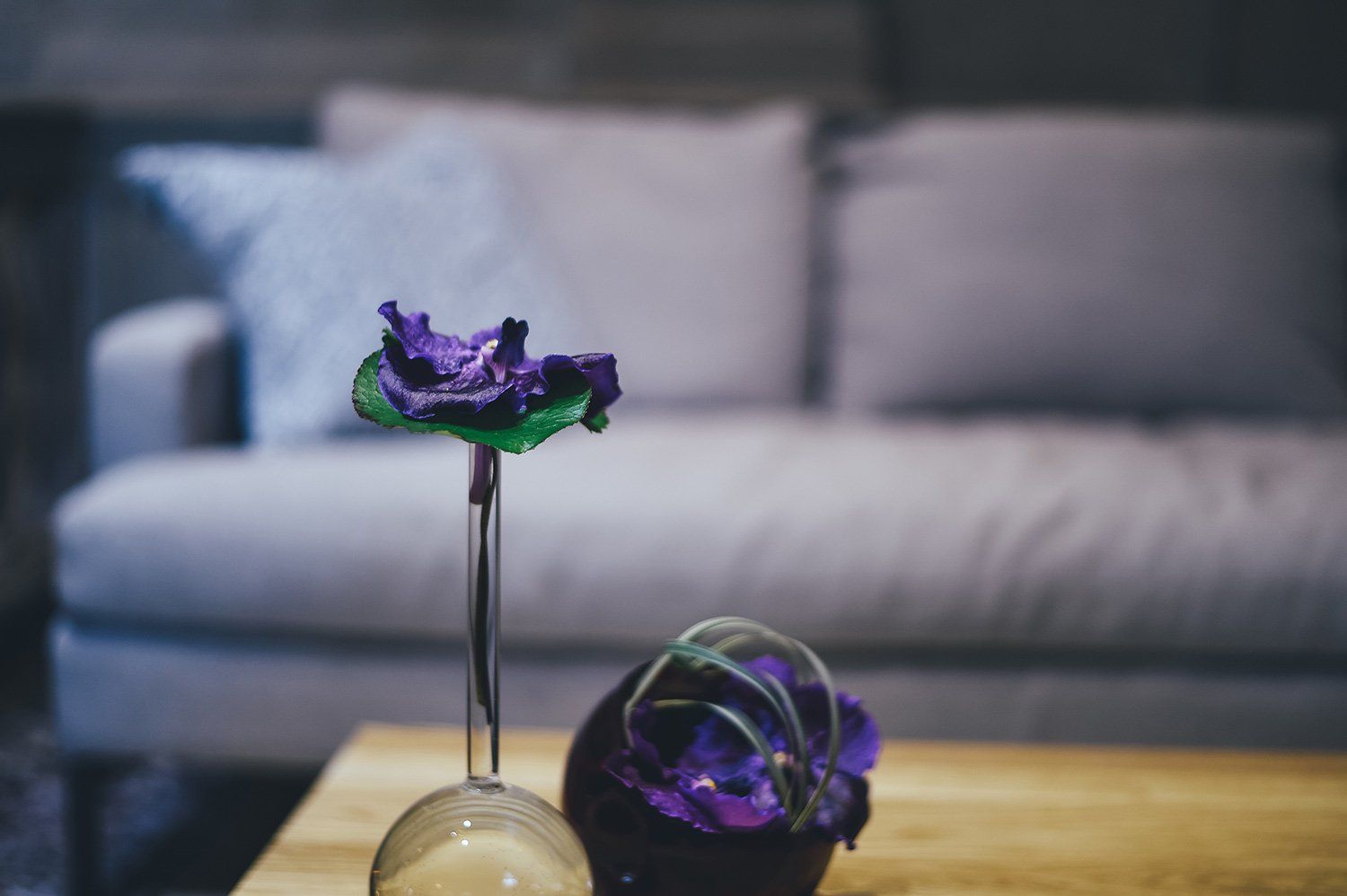 A vase with a purple flower in it is on a table in front of a couch.