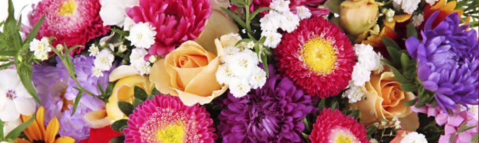 vendita al dettaglio di fiori e piante