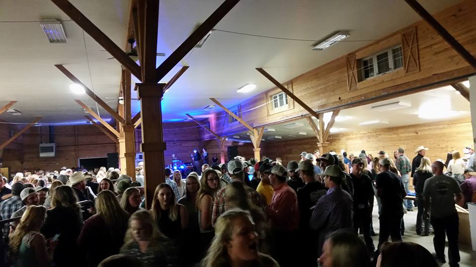 Crowd photo of 2016 Testical Festival