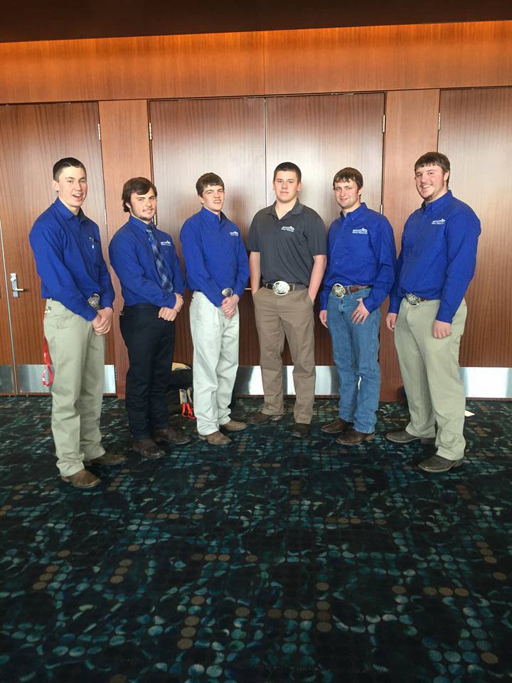 Brothers wearing blue shirts