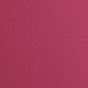 Hot pink — Royal Oak, MI — C & N Party Rentals