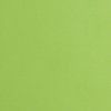 Lime — Royal Oak, MI — C & N Party Rentals