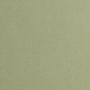 Light olive — Royal Oak, MI — C & N Party Rentals