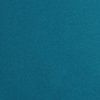 Teal — Royal Oak, MI — C & N Party Rentals