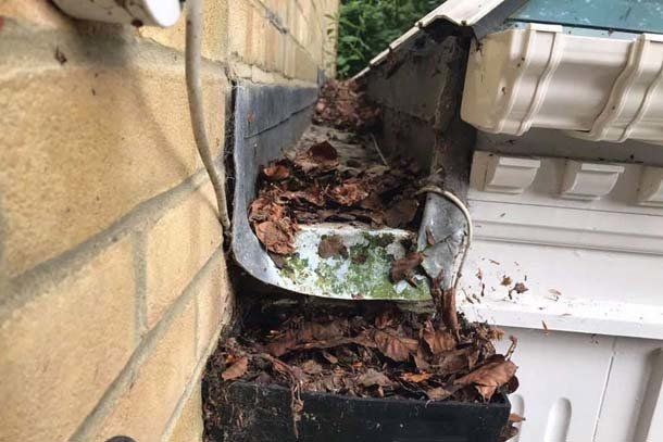 Box Gutter Clean