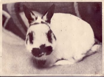Foto Stefan Holzwig
