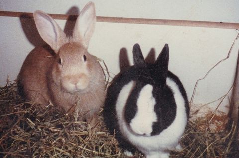 Lukas und Tobias Freunde