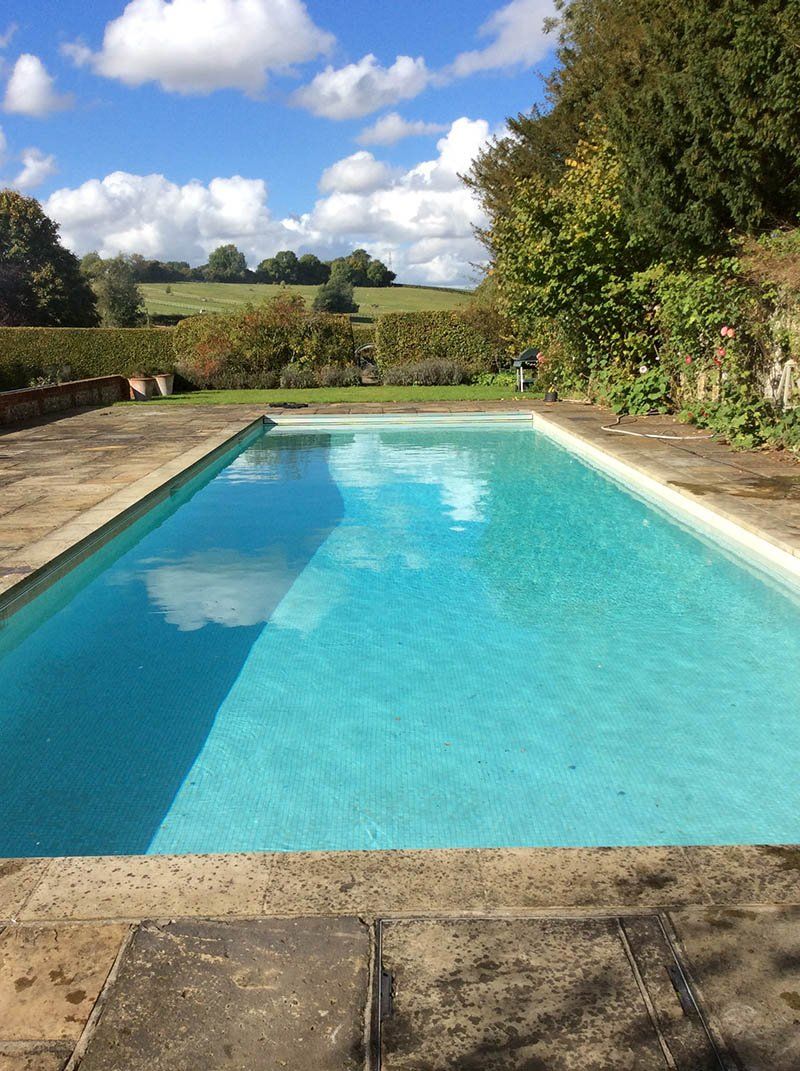 Clean swimming pool