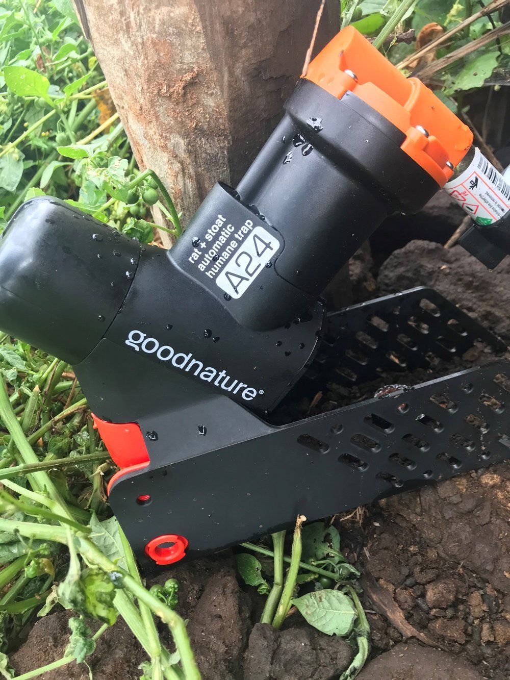 Goodnature Rat Trap — Bradford, FL — Bowen & Bug Blocker Service