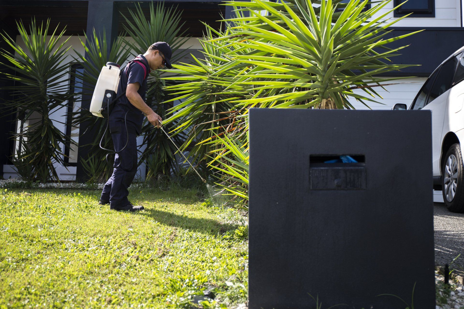 Pest & Insect Control — Man Taking Down Notes in Tampa, FL