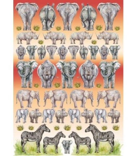 carta, decoupage, disegno, vendita, animali, cani, gatti, cavalli,  quadri, ritratti, dipinti, su misura, animali vestiti, oggetti, arredi, uova dipeinte, piatti, decorazioni, trompe, fiori, stencil, decoupage, carta, colla, matita, pennello, olio su tela , riviste, pubblicazioni, eventi, Marina Rigolone, artista, pittrice, decoratrice,