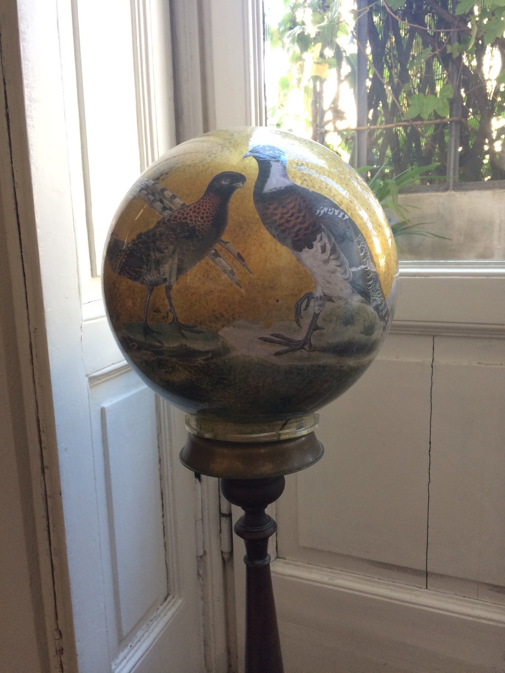 animali, cani, gatti, cavalli,  quadri, ritratti, dipinti, su misura, animali vestiti, oggetti, arredi, uova dipeinte, piatti, decorazioni, trompe, fiori, stencil, decoupage, carta, colla, matita, pennello, olio su tela , riviste, pubblicazioni, eventi, Marina Rigolone, artista, pittrice, decoratrice,