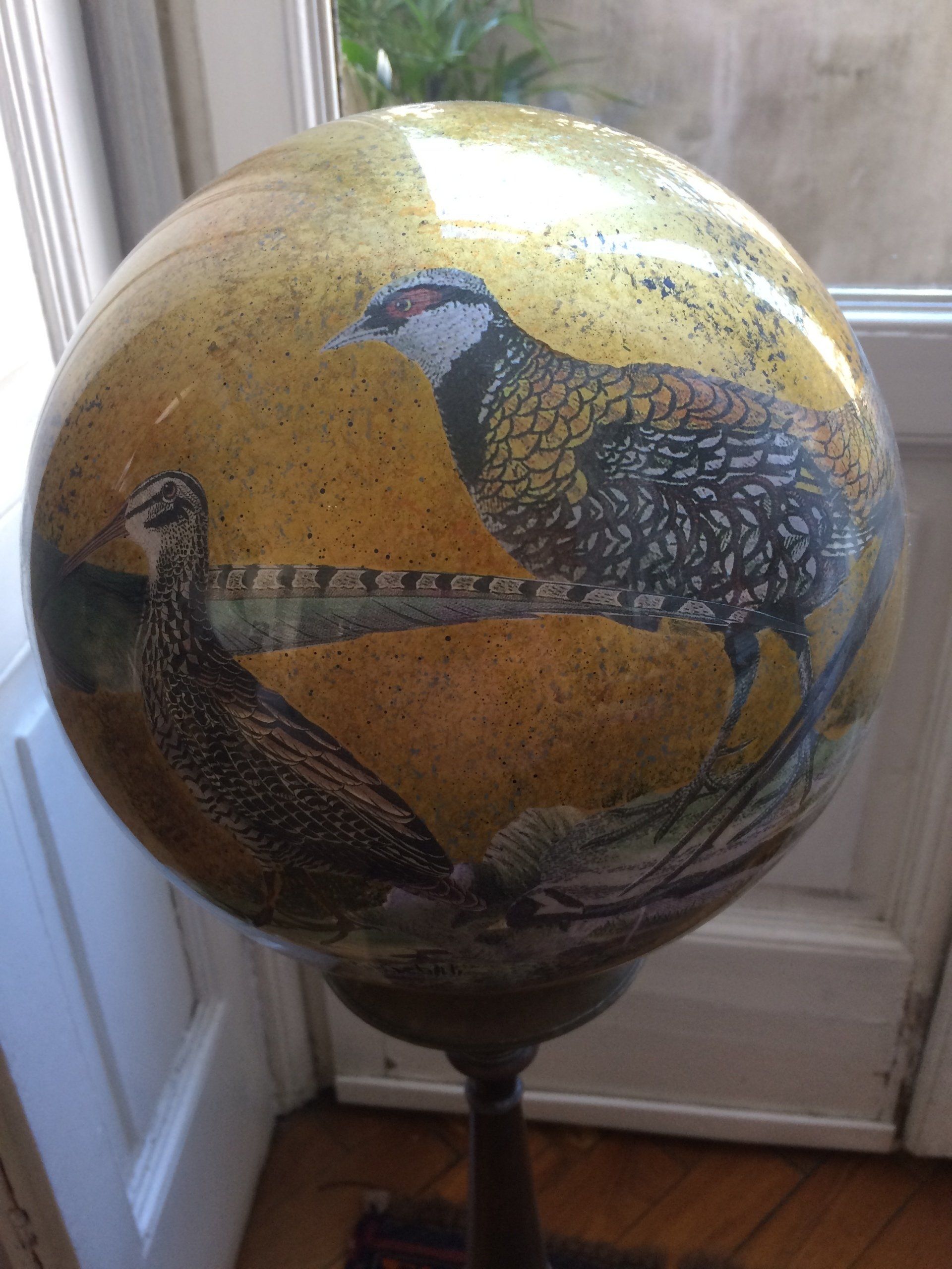 animali, cani, gatti, cavalli,  quadri, ritratti, dipinti, su misura, animali vestiti, oggetti, arredi, uova dipeinte, piatti, decorazioni, trompe, fiori, stencil, decoupage, carta, colla, matita, pennello, olio su tela , riviste, pubblicazioni, eventi, Marina Rigolone, artista, pittrice, decoratrice,