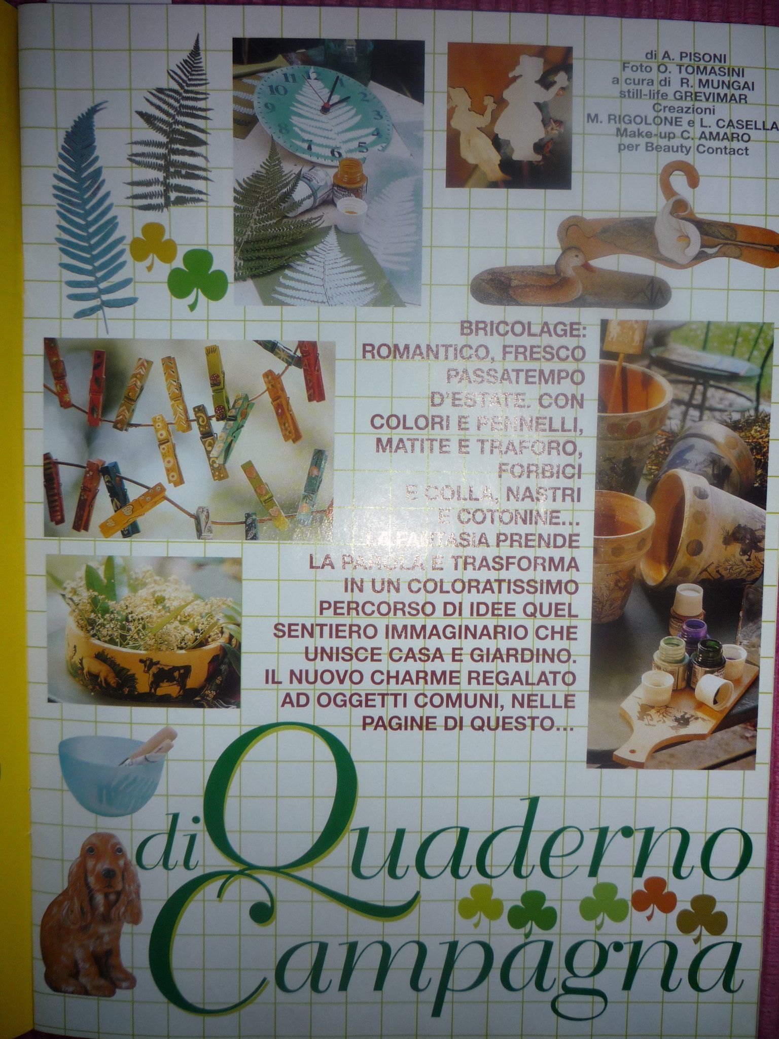 animali, cani, gatti, cavalli,  quadri, giornali, ritratti, dipinti, su misura, animali vestiti, oggetti, arredi, uova dipinte, piatti, decorazioni, trompe, fiori, stencil, decoupage, carta, colla, matita, pennello, olio su tela , riviste, libri, pubblicazioni, eventi, Marina Rigolone, artista, pittrice, decoratrice,