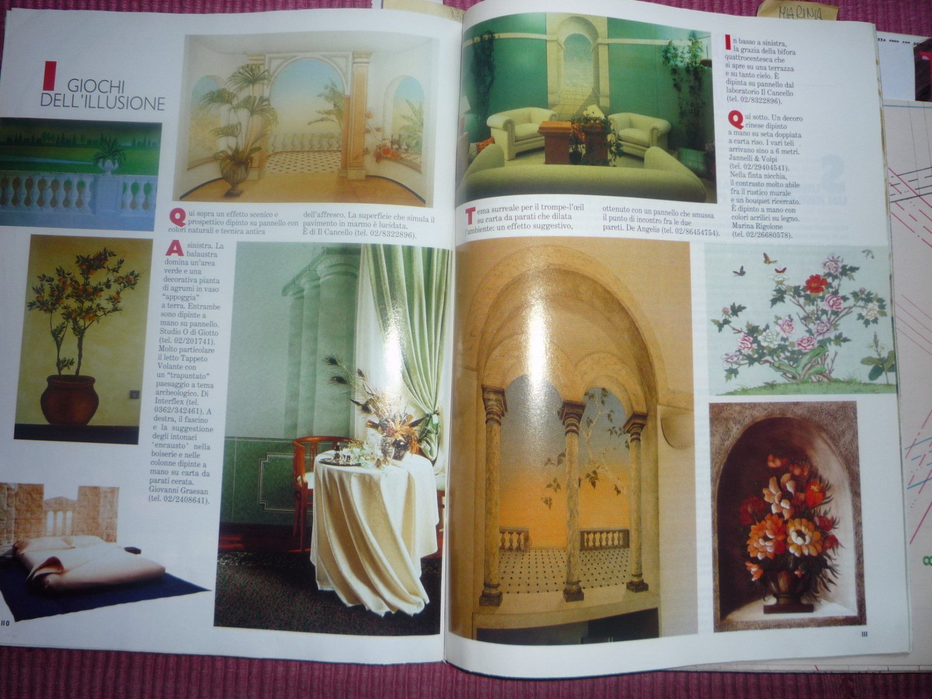 animali, cani, gatti, cavalli,  quadri, giornali, ritratti, dipinti, su misura, animali vestiti, oggetti, arredi, uova dipinte, piatti, decorazioni, trompe, fiori, stencil, decoupage, carta, colla, matita, pennello, olio su tela , riviste, libri, pubblicazioni, eventi, Marina Rigolone, artista, pittrice, decoratrice,