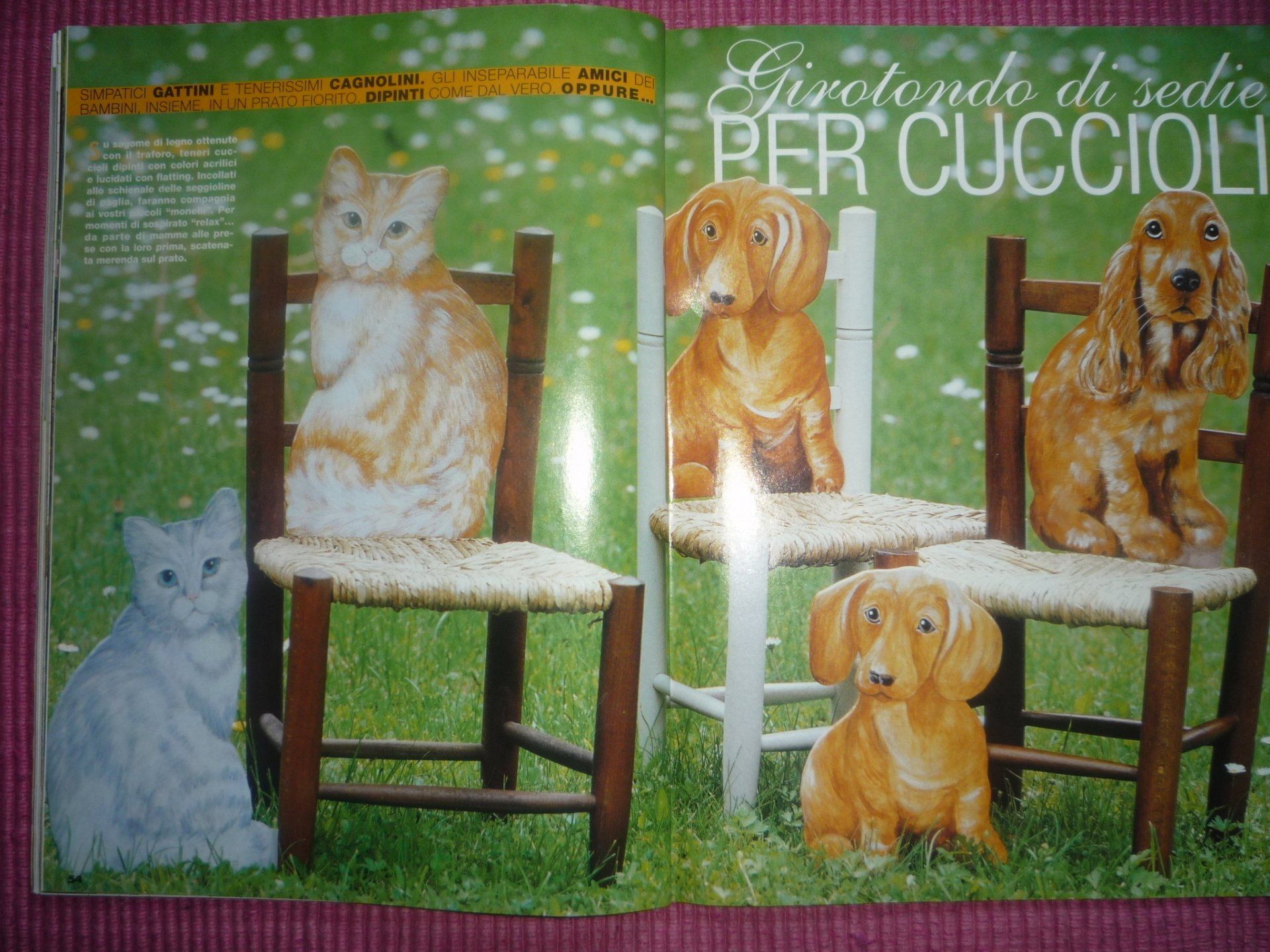 animali, cani, gatti, cavalli,  quadri, giornali, ritratti, dipinti, su misura, animali vestiti, oggetti, arredi, uova dipinte, piatti, decorazioni, trompe, fiori, stencil, decoupage, carta, colla, matita, pennello, olio su tela , riviste, libri, pubblicazioni, eventi, Marina Rigolone, artista, pittrice, decoratrice,