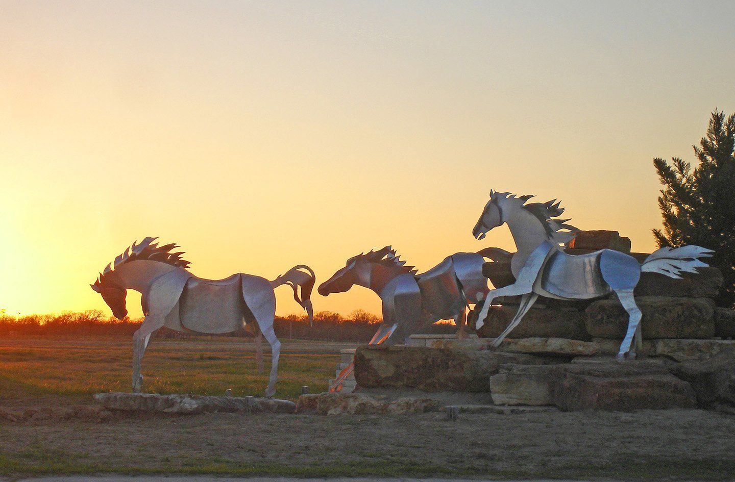 Horse Model — Houston, TX — Southwest Galvanizing