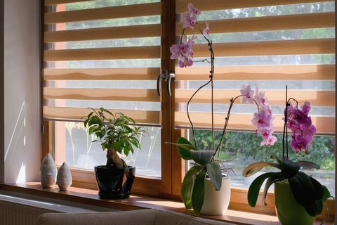 Manual Window Treatments — Breckenridge, CO — Audio Video Solutions Manual Window Treatments — Breckenridge, CO — Audio Video Solutions