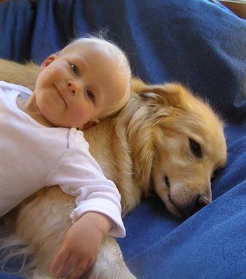 Baby and Dog — Breckenridge, CO — Audio Video Solutions