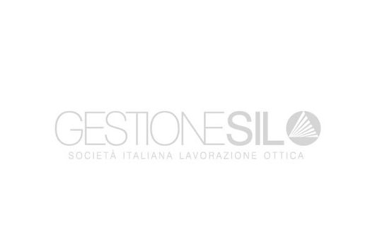 logo gestione silo