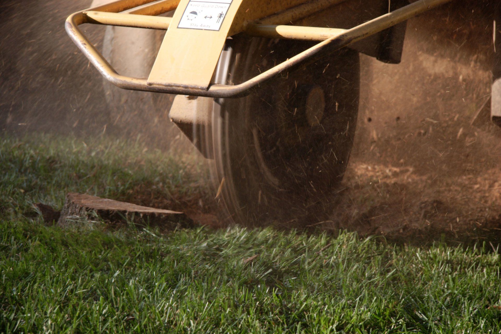 Tree Company — Stump Grinding Machine in Savannah, GA