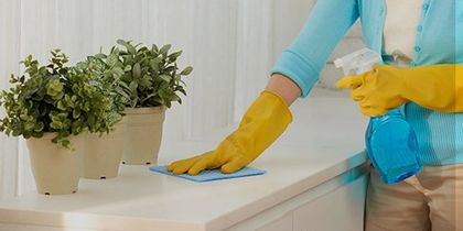 domestic care