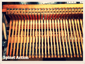 Spinet Action