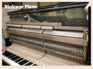 Birdcage Piano