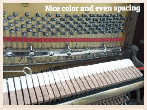 Nice color and even spacing