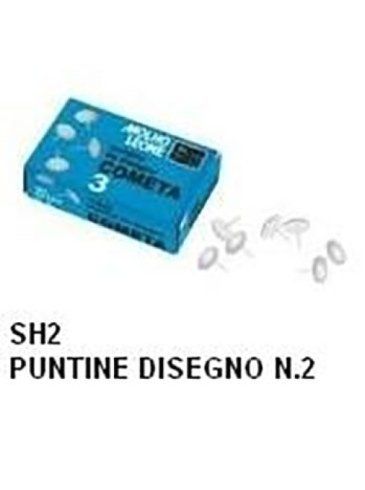 Puntine
