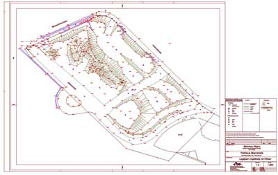 Eine Karte eines Parks mit vielen Linien darauf