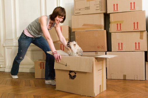 Storage Boxes — Woman Pushing Cardboard Box in Cheyenne, WY