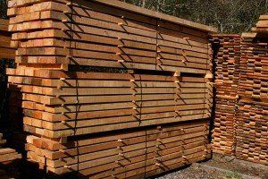 Timber 1