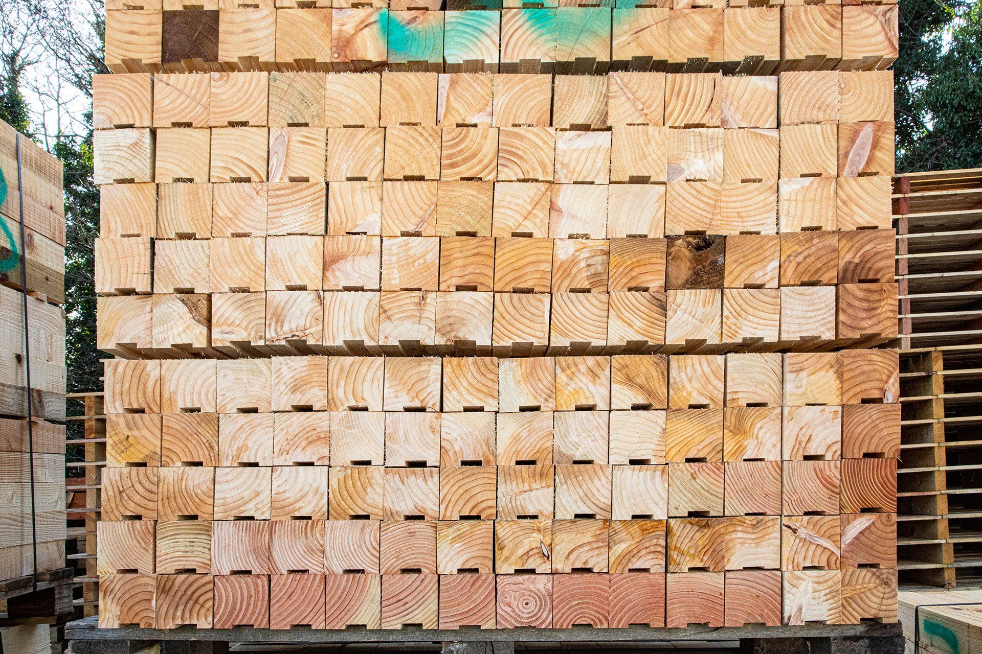 Timber services 7