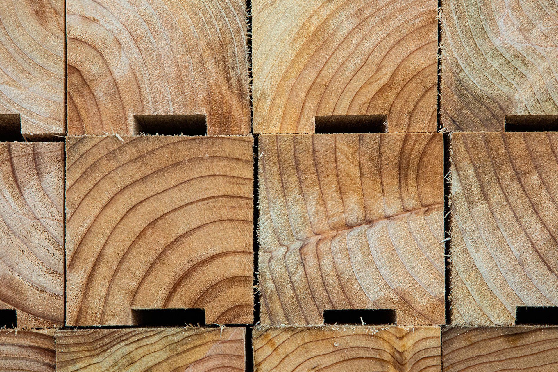 Timber services 11