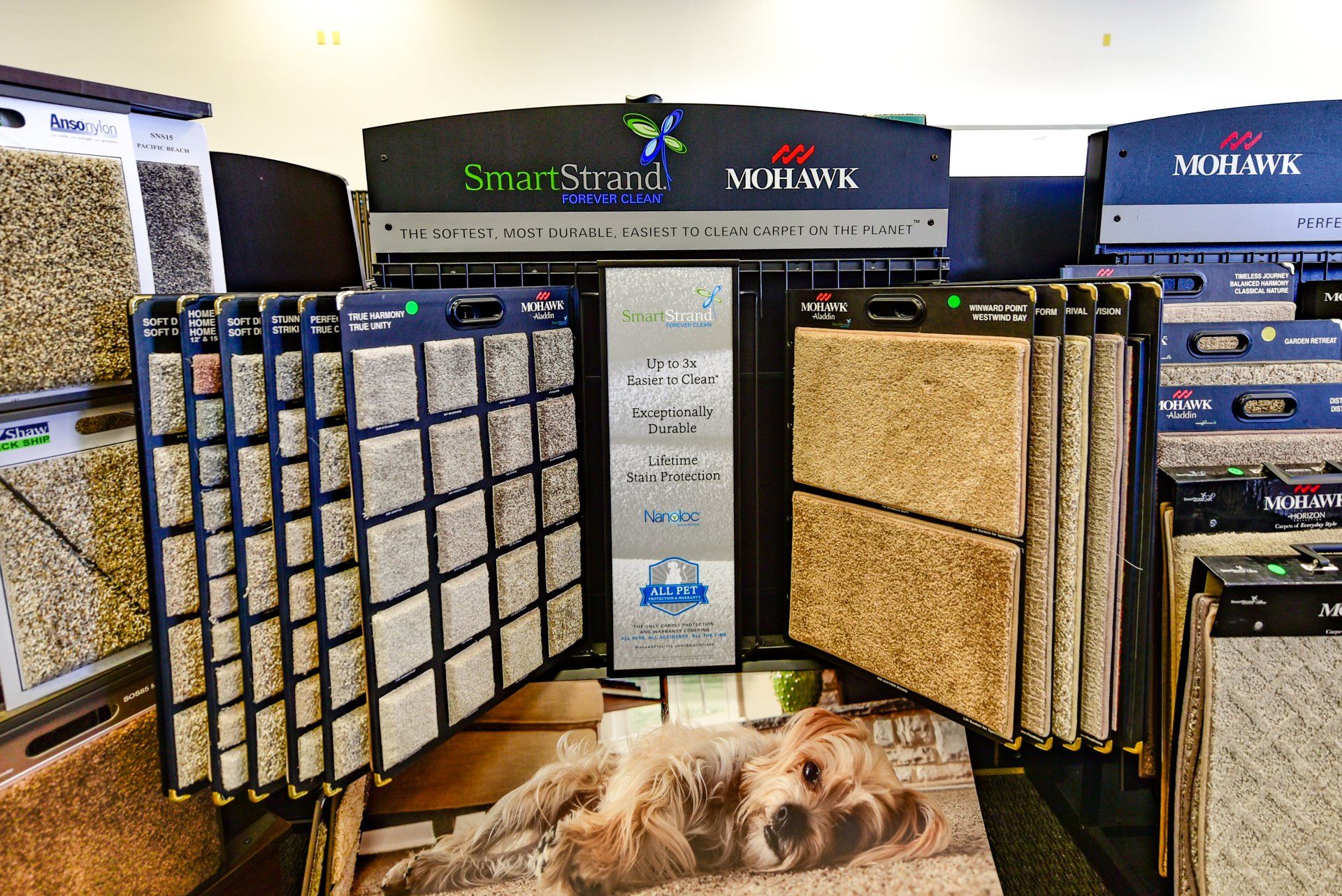 Online Marketing Photograph for social media management for a local store in Redlands CA