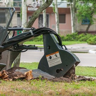 Tree Stump Removal — Pittsburgh, PA — Best 4 Less Trees Tree Stump Removal — Pittsburgh, PA — Best 4 Less Trees